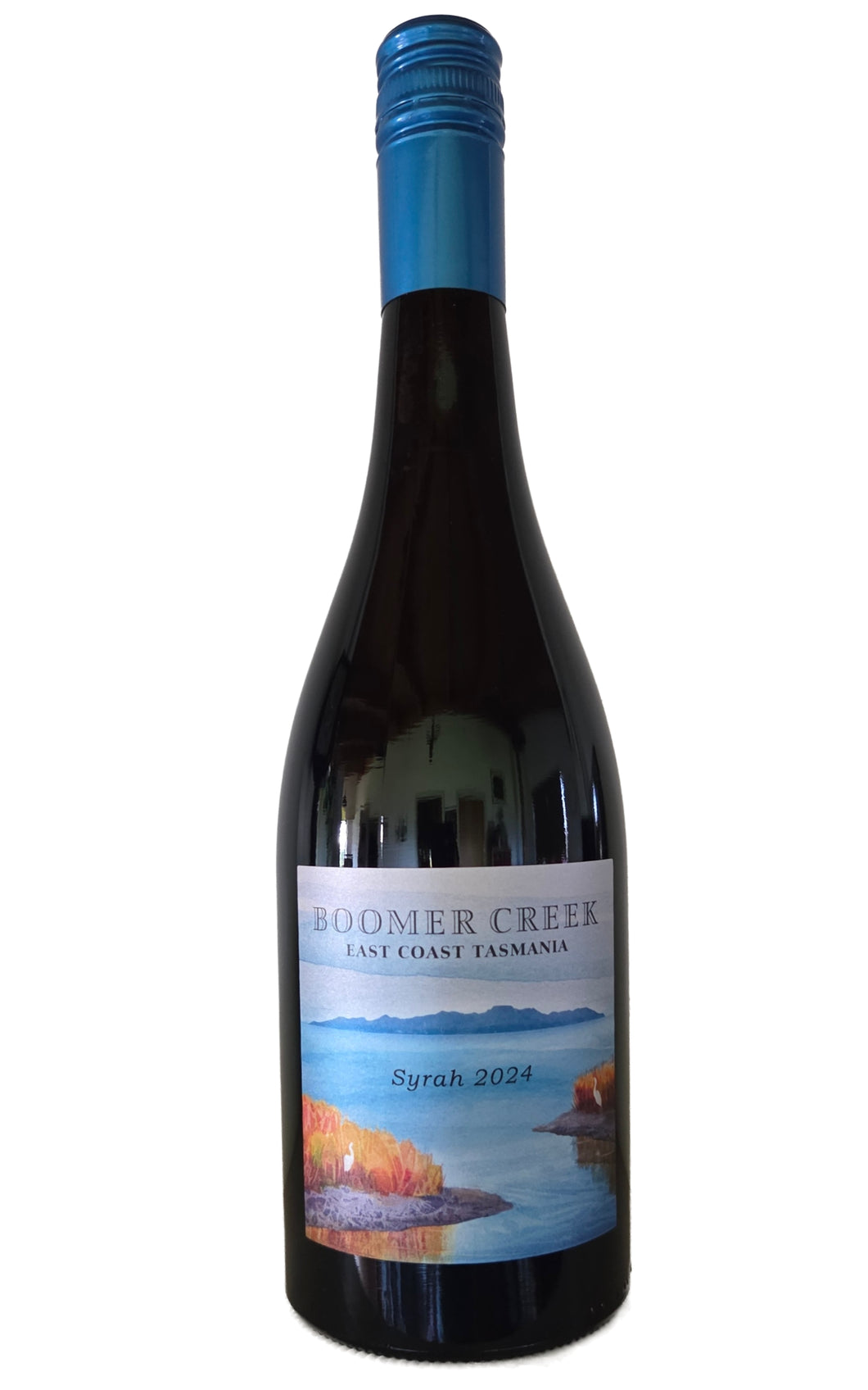 *New Release* Syrah 2024